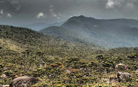 5D4N Mount Murud Adventure