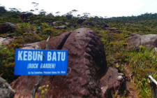 5D4N Mount Murud Adventure