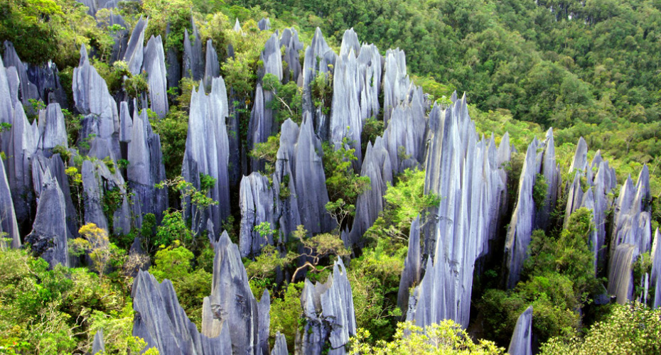 4D3N Mulu - Adventure On The Former Headhunter's Trail