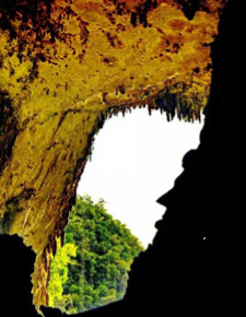 4D3N Mulu - Adventure On The Former Headhunter's Trail