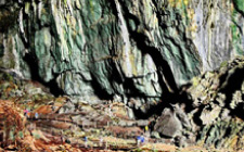 5D4N Mulu Caves, Pinnacles & Headhunter's Trail