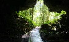 5D4N Mulu Caves, Pinnacles & Headhunter's Trail