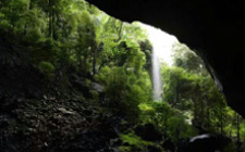 5D4N Mulu Caves, Pinnacles & Headhunter's Trail