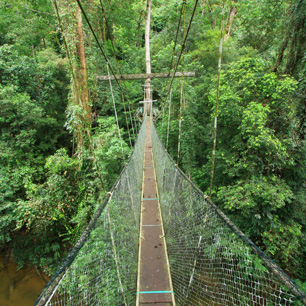 3D2N Mulu Caves